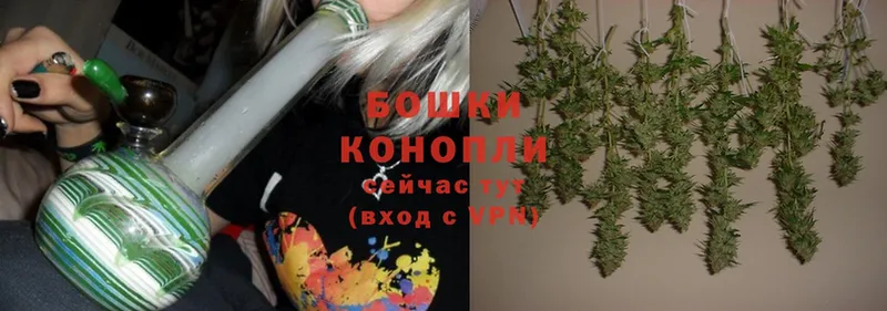 Шишки марихуана THC 21%  Полысаево 